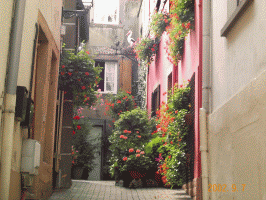 Etymologie, Etimología, Étymologie, Etimologia, Etymology, (griech