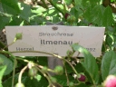 ilmenau_name.jpg