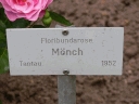 moench_name.jpg